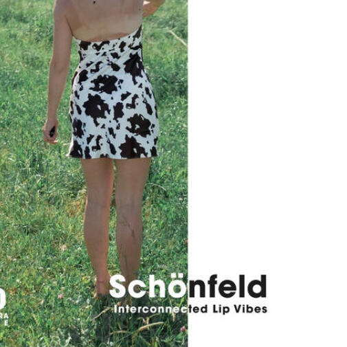 Interconnected Lip Vibes by Schönfeld Kontratape Vol.10